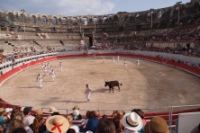 No bloodshed at this "friendly" form of bull fighting at the ancient arena in Arles
